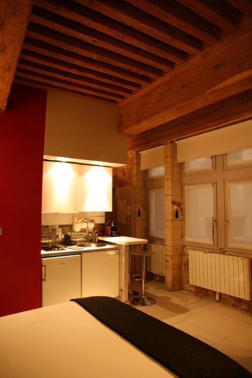 Loge Saint Jean Apartment Lyon Exterior foto